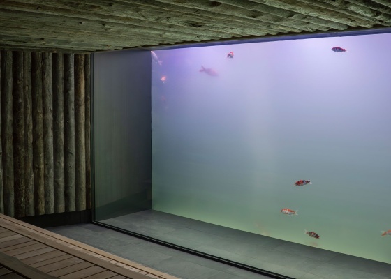 Koi-sauna