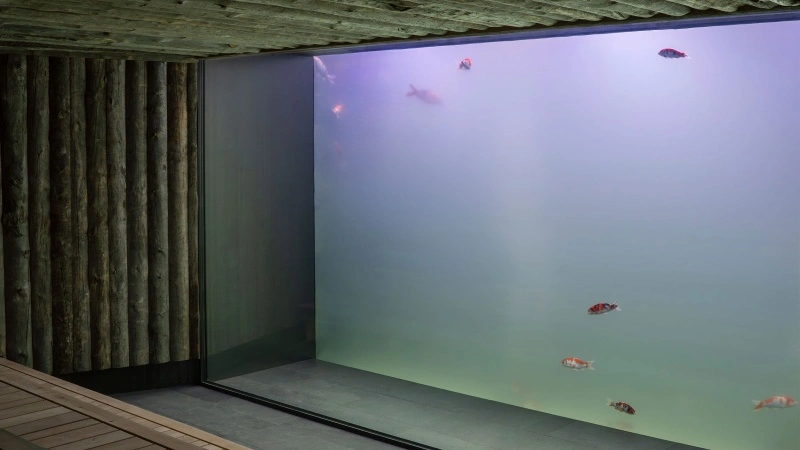 Koi-sauna