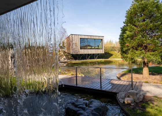 Boomhutsauna