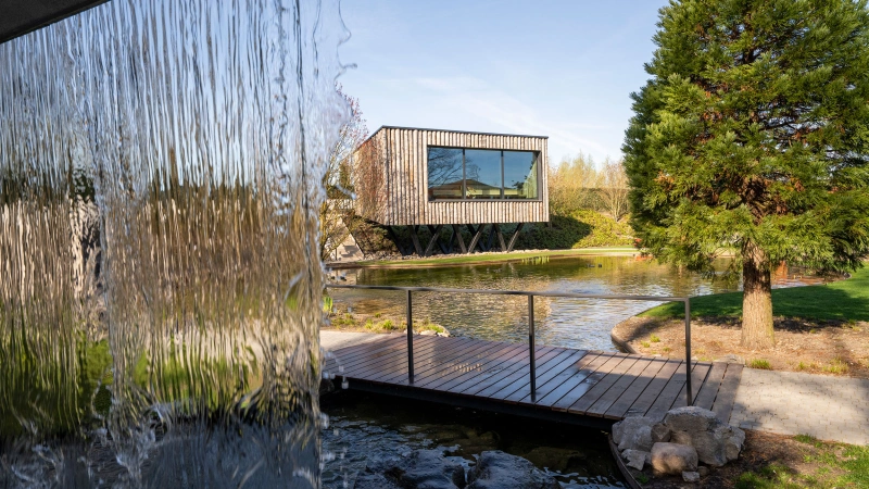 Boomhutsauna